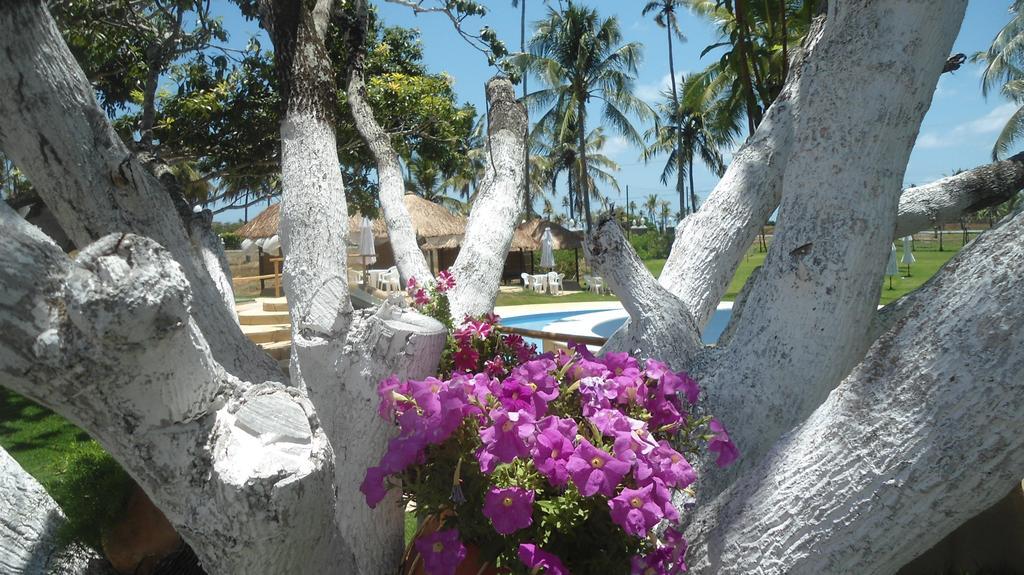 Fazenda Fiore Resort Парипуейра Екстериор снимка